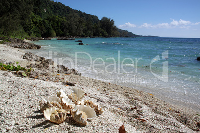 Tropical beach