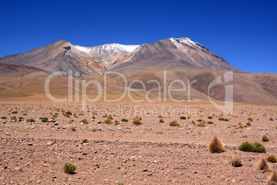 Desert and mountain