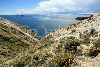Cactuses on the Isla del Sol