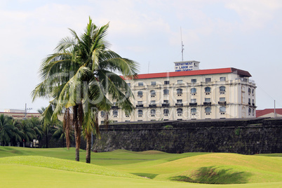 Palm tree and golf course