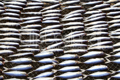 Dry sardines