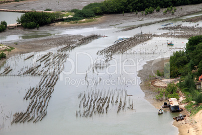 Fishing nets