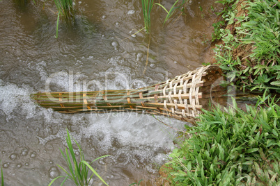 Bamboo trap