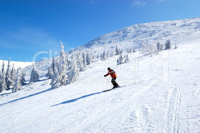 JASNA-MARCH 15: Skier rides on a slope in Jasna Low Tatras. It i