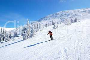 JASNA-MARCH 15: Skier rides on a slope in Jasna Low Tatras. It i