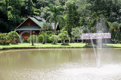 Lake with fountain