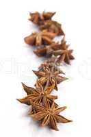 star anise