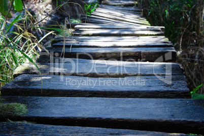 Old Wodden Bridge