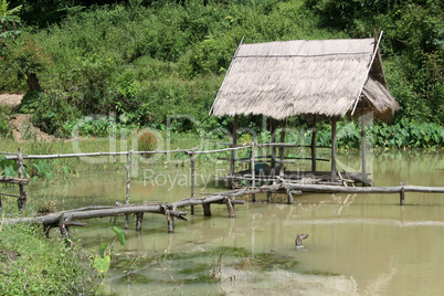 Wooden hut