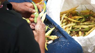 Peeling Beans in a Traditional Ecuador Market