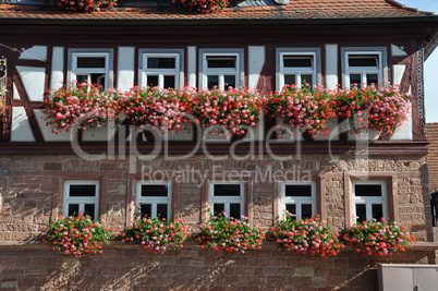 Blumenfenster in Bürgstadt