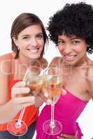Young smiling women clinking their glasses of white wine
