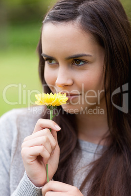 Relaxed young woman standing in a parkland while holding a yello