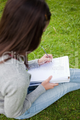 Overhead view of a young student doing her homework in a park