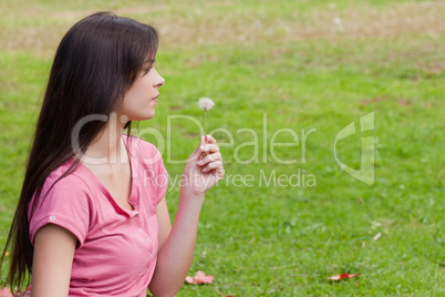 Young woman holding a dandelion while standing in the countrysid