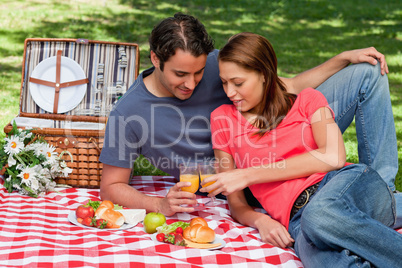 Two friends touching glasses against each other during a picnic