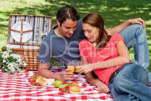 Two friends touching glasses against each other during a picnic