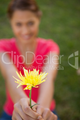 Woman holding a yellow flower at arms reach