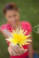 Woman holding a yellow flower in one hand at arms reach