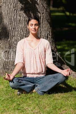 Woman sitting in a yoga position near a tree