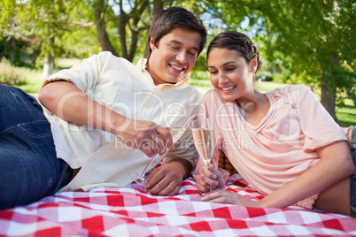 Two friends looking at glasses of champagne during a picnic