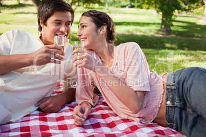Two friends having a toast during a picnic