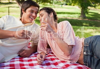 Two friends laughing as they raise their glasses during a picnic