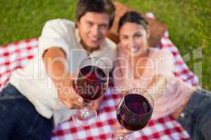 Two friends raising their glasses of wine during a picnic