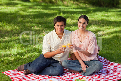 Two friends looking ahead while touching glasses during a picnic