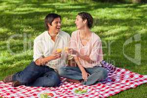 Two friends laughing while raising their glasses during a picnic