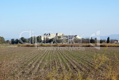 Field and theater