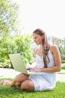 Woman on the lawn with her laptop