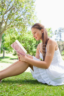 Side view of a woman reading a book on the grass