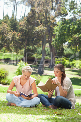 Friends reading their books in the park