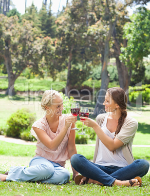 Friends clink glasses of wine in the park