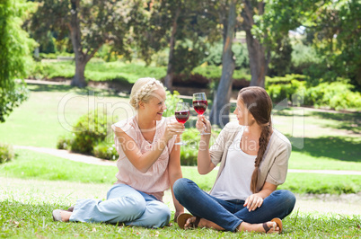 Friends having a glass of red wine in the park