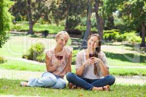 Friends with wine glasses in the park