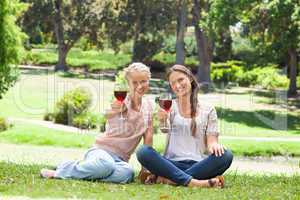 Friends drinking red wine in the park
