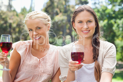 Smiling friends having red wine in the park