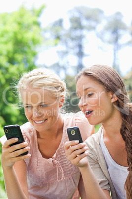 Friends in the park with their cellphones