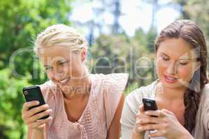 Friends writing text messages in the park