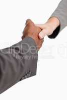 Businesspeople shaking hands