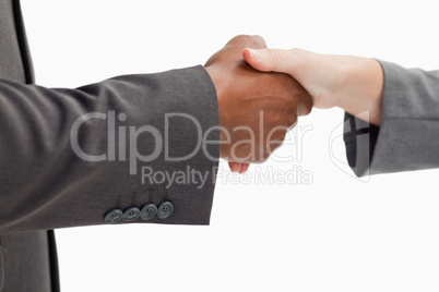 Business handshake