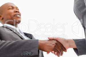 Businessman shakes hand