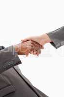 Handshake by two businesspeople