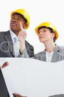 Business people wearing hard hats are talking