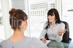 A business woman interviews a potential new employee