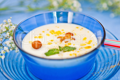 dish with a cream soup on the table
