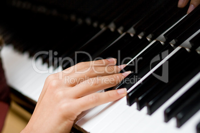 The gentle woman's hand on piano keys