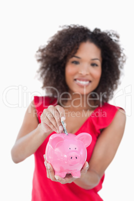 Piggy bank receiving dollar notes